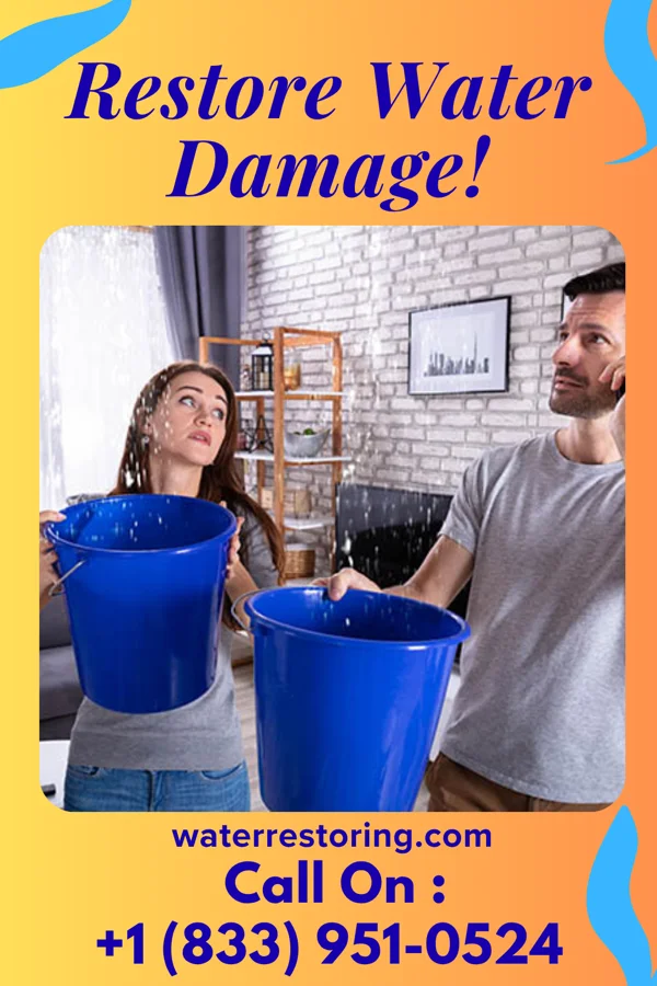water restoration Victory Mitigation Authority Belview