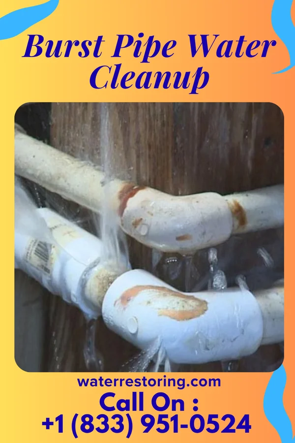 Burst Pipe Water Cleanup in Belview, VA