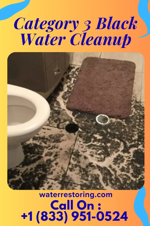 Category 3 Black Water Cleanup in Belview, VA