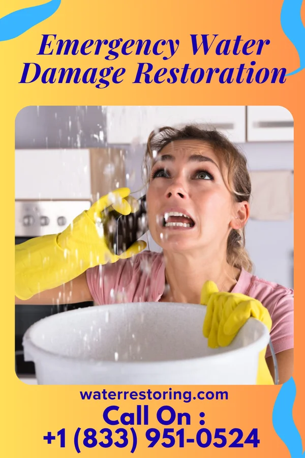 Emergency Water Damage Restoration in Belview, VA