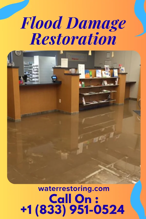 Flood Damage Restoration in Belview, VA
