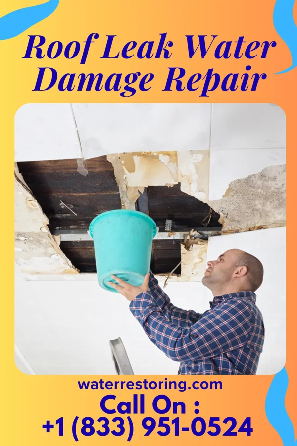Roof Leak Water Damage Repair in Belview, VA