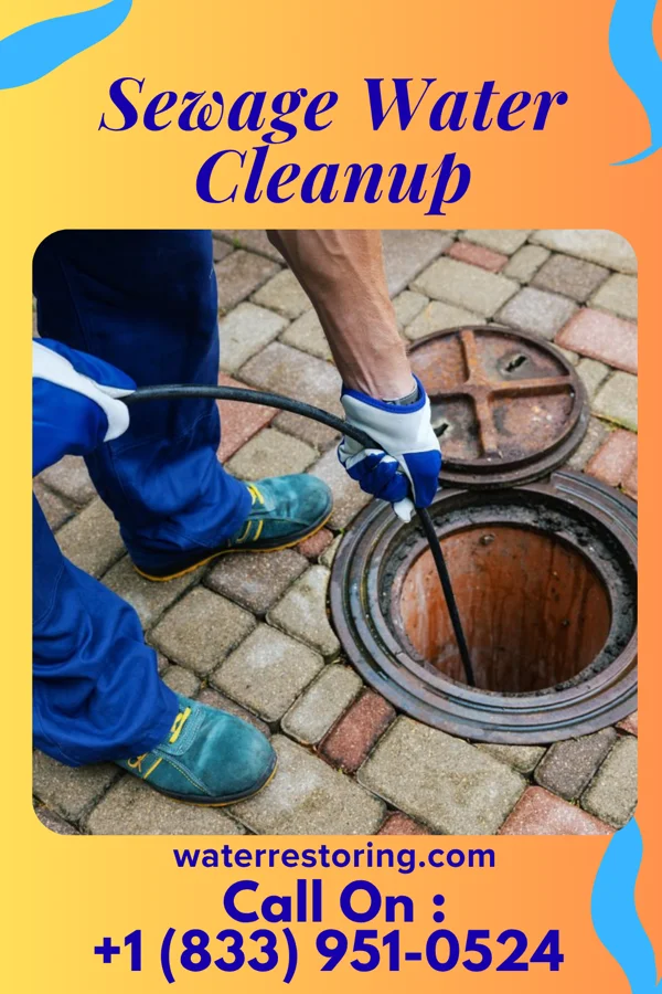 Sewage Water Cleanup in Belview, VA
